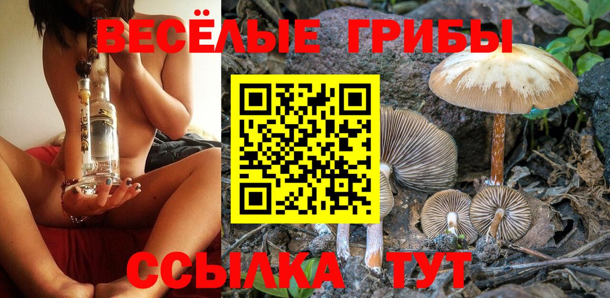 Галлюциногенные грибы ЛСД Губкинский