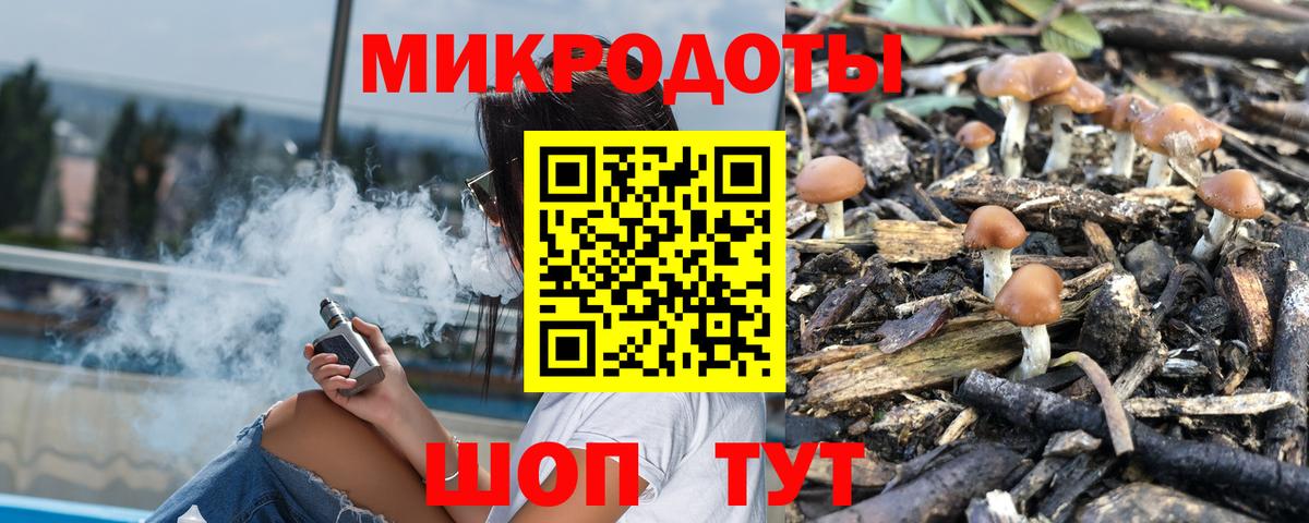 Губкинский  Галлюциногенные грибы Psilocybine cubensis  Вход с VPN 